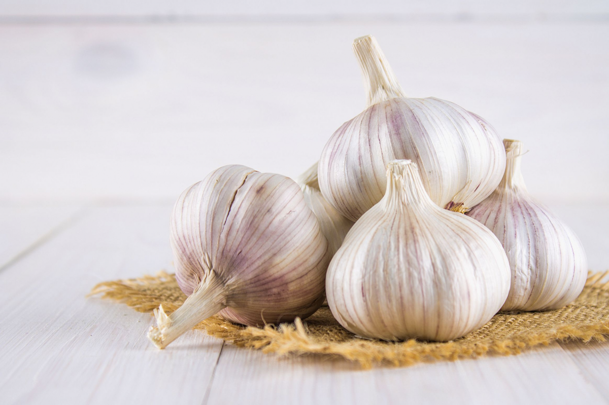 Fresh Garlic